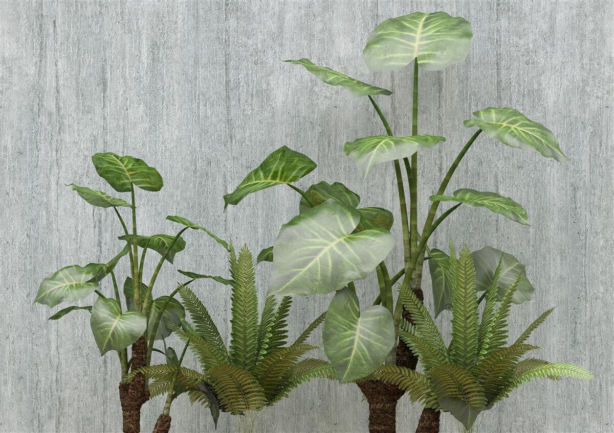 Carta da parati enorme cespuglio di monstera su sfondo argentato