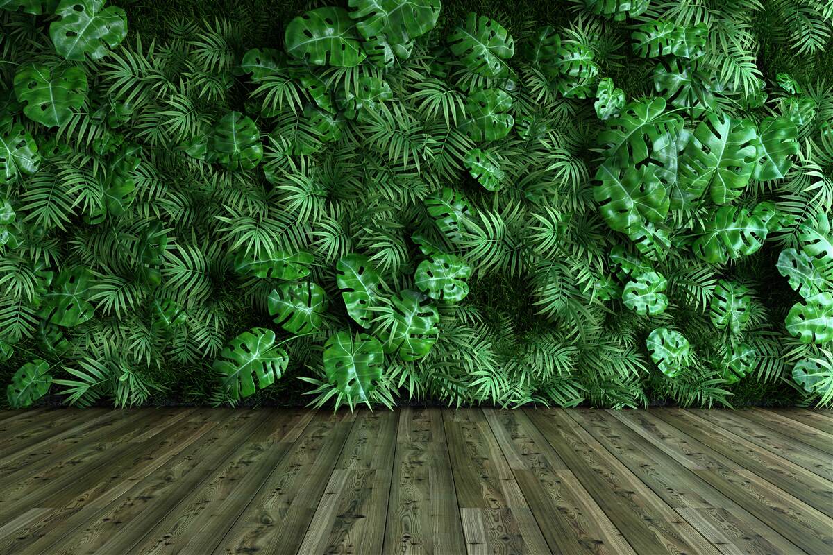 Carta da parati verde, piante e foglie