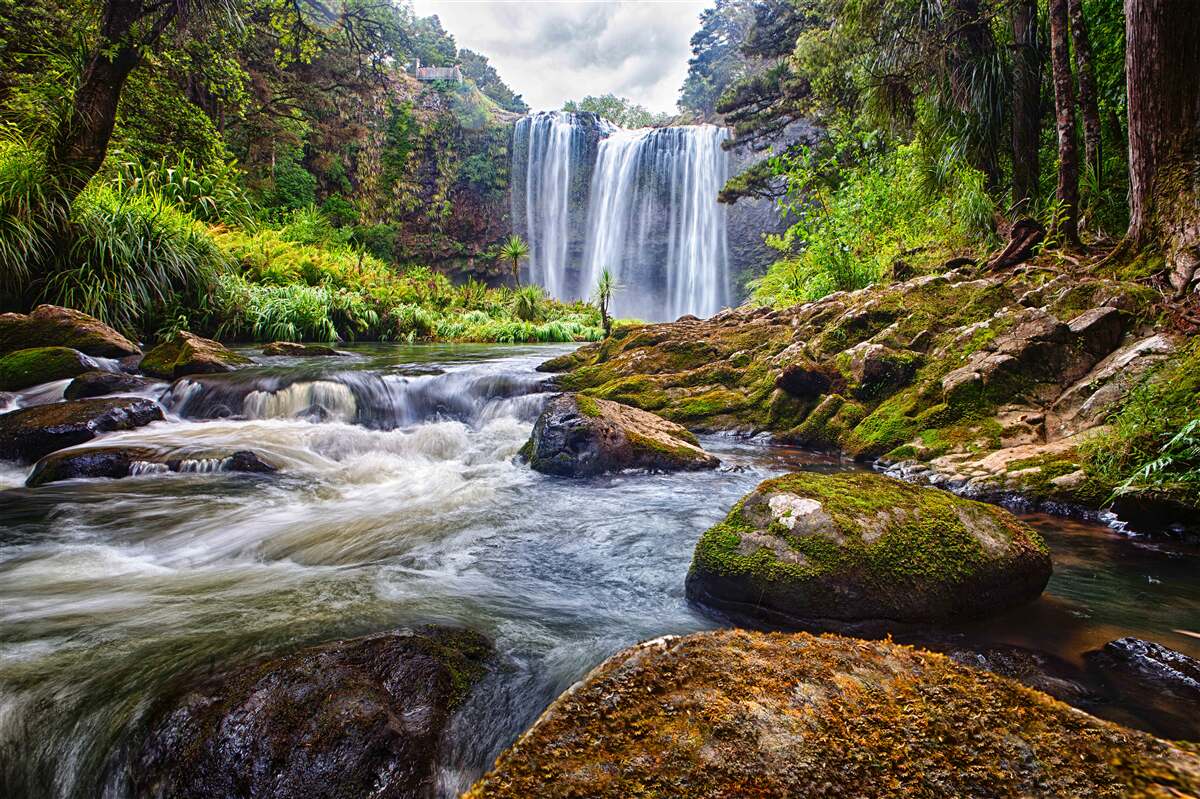 Carta da parati foresta verde con cascata