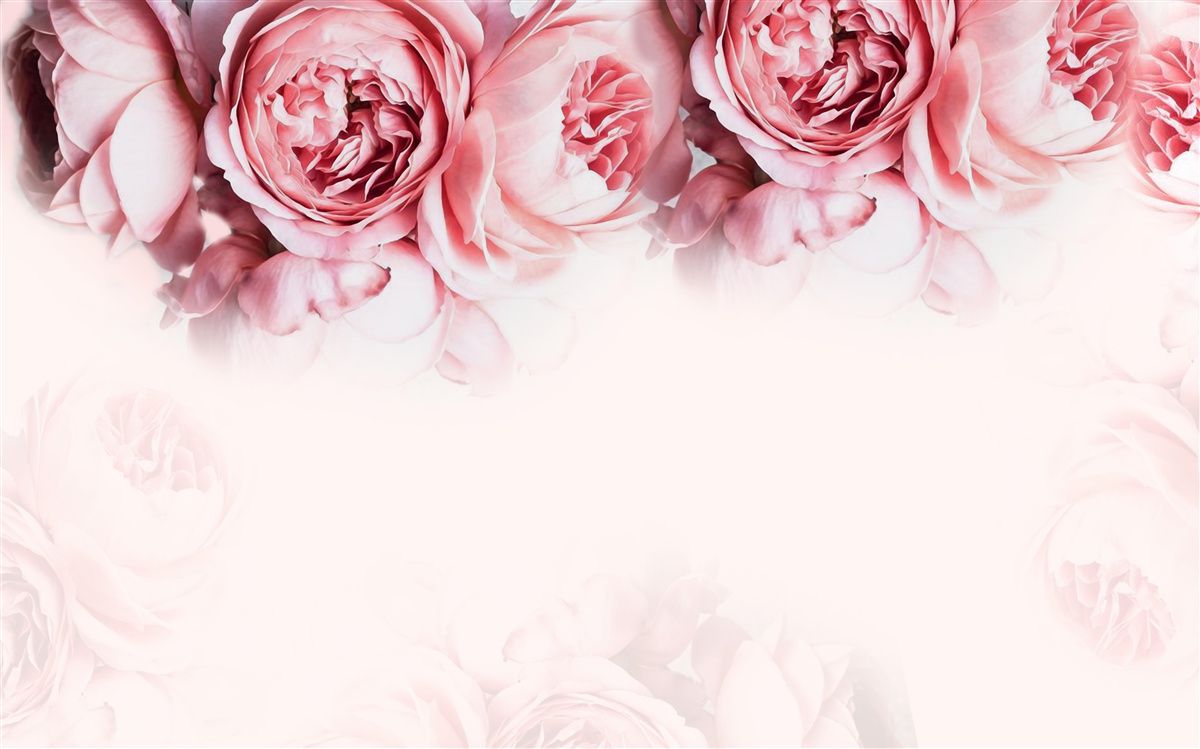 Carta da parati peonie rosa e bianche su sfondo chiaro