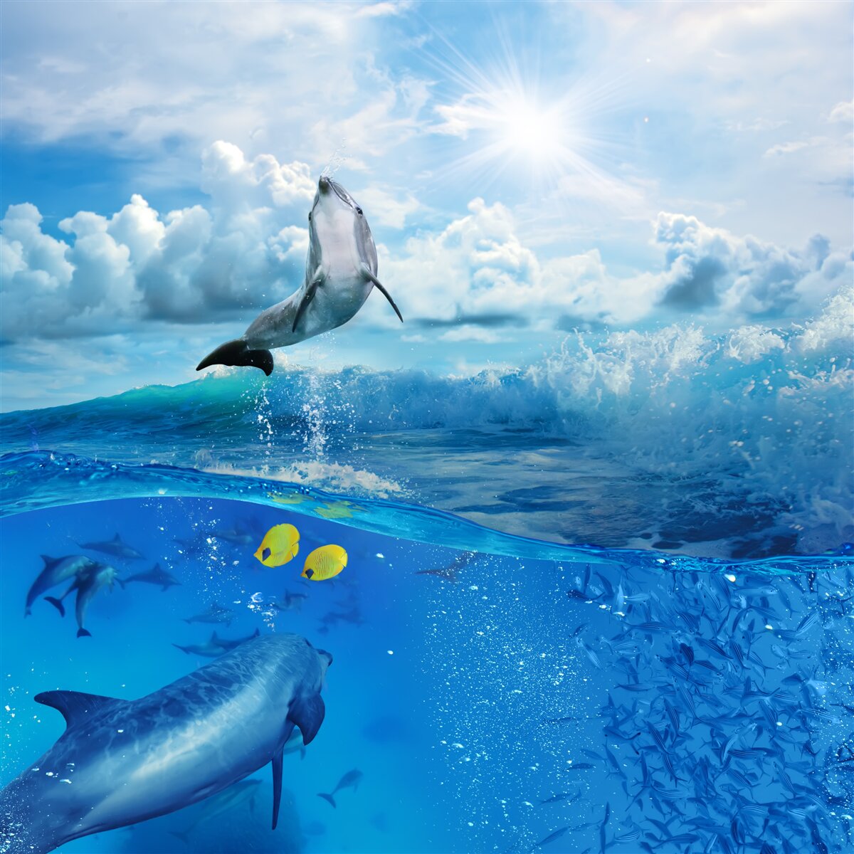 Fototapeta delfin wyskakujący z wody
