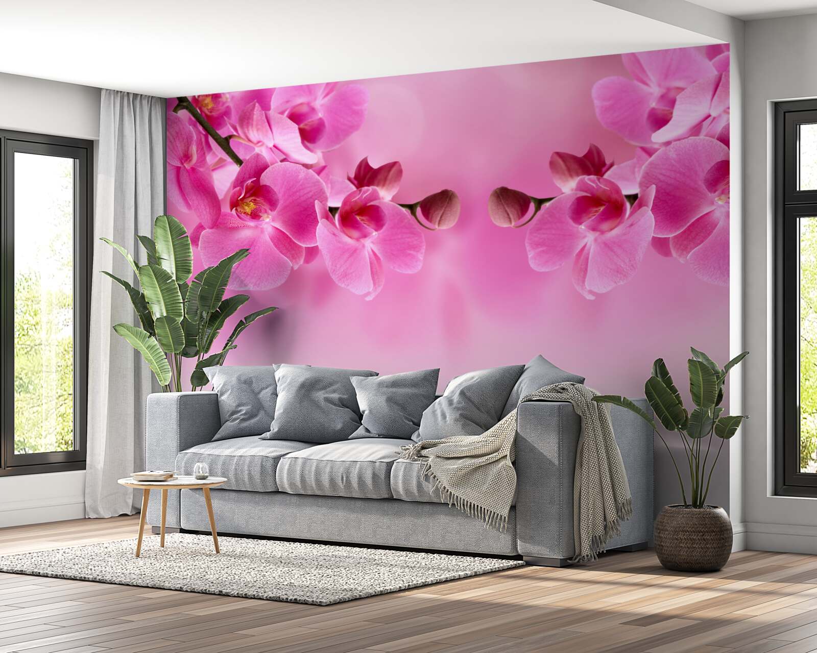 Fototapeta gałęzie różowej orchidei na jasnym tle