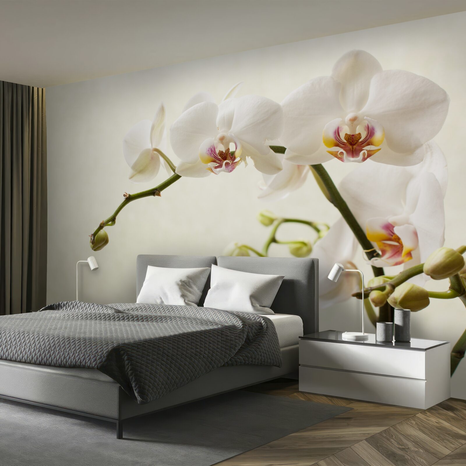 Fototapeta gałęzie białej orchidei na jasnym tle