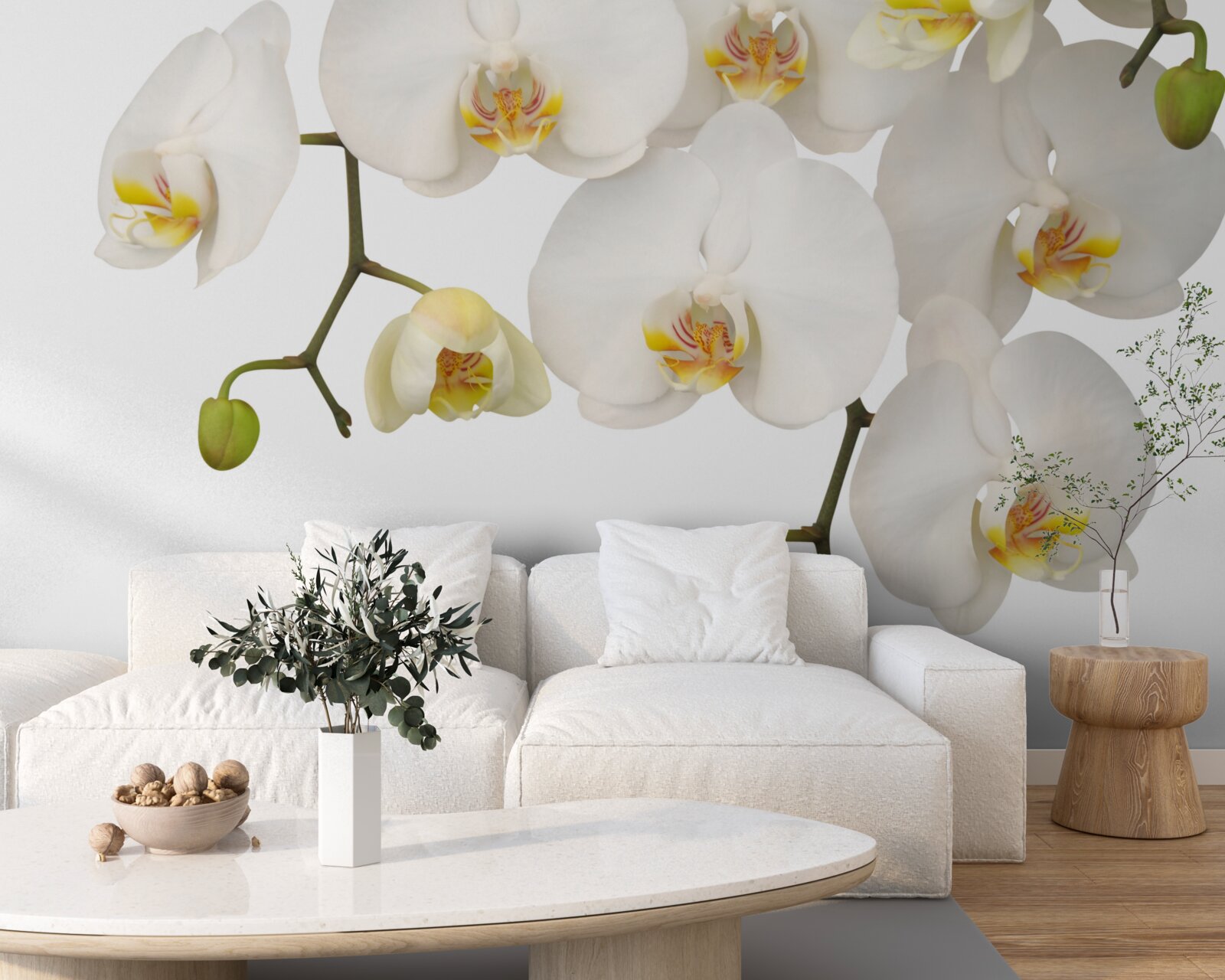 Fototapeta zwisają orchidee z białymi kwiatami