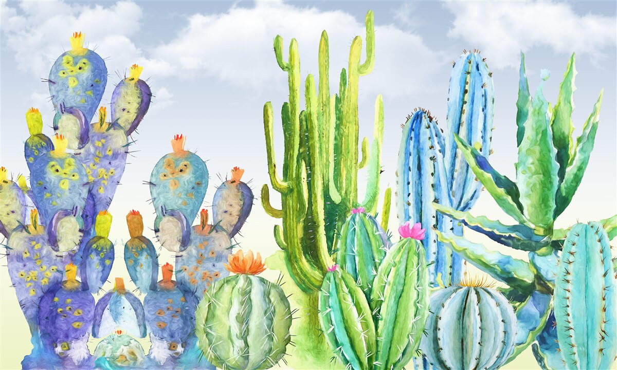 Carta da parati grandi cactus di diversi colori