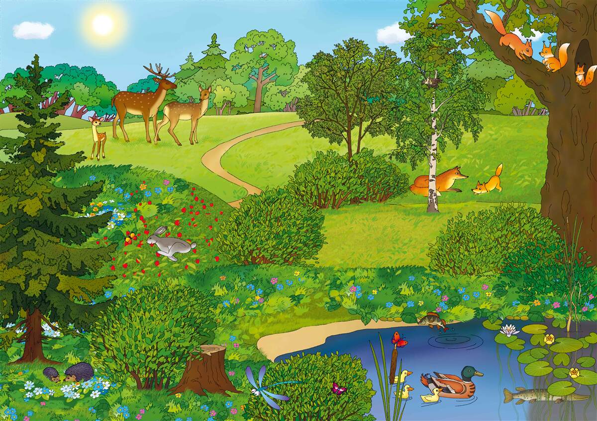 Carta da parati gli animali camminano in una radura della foresta