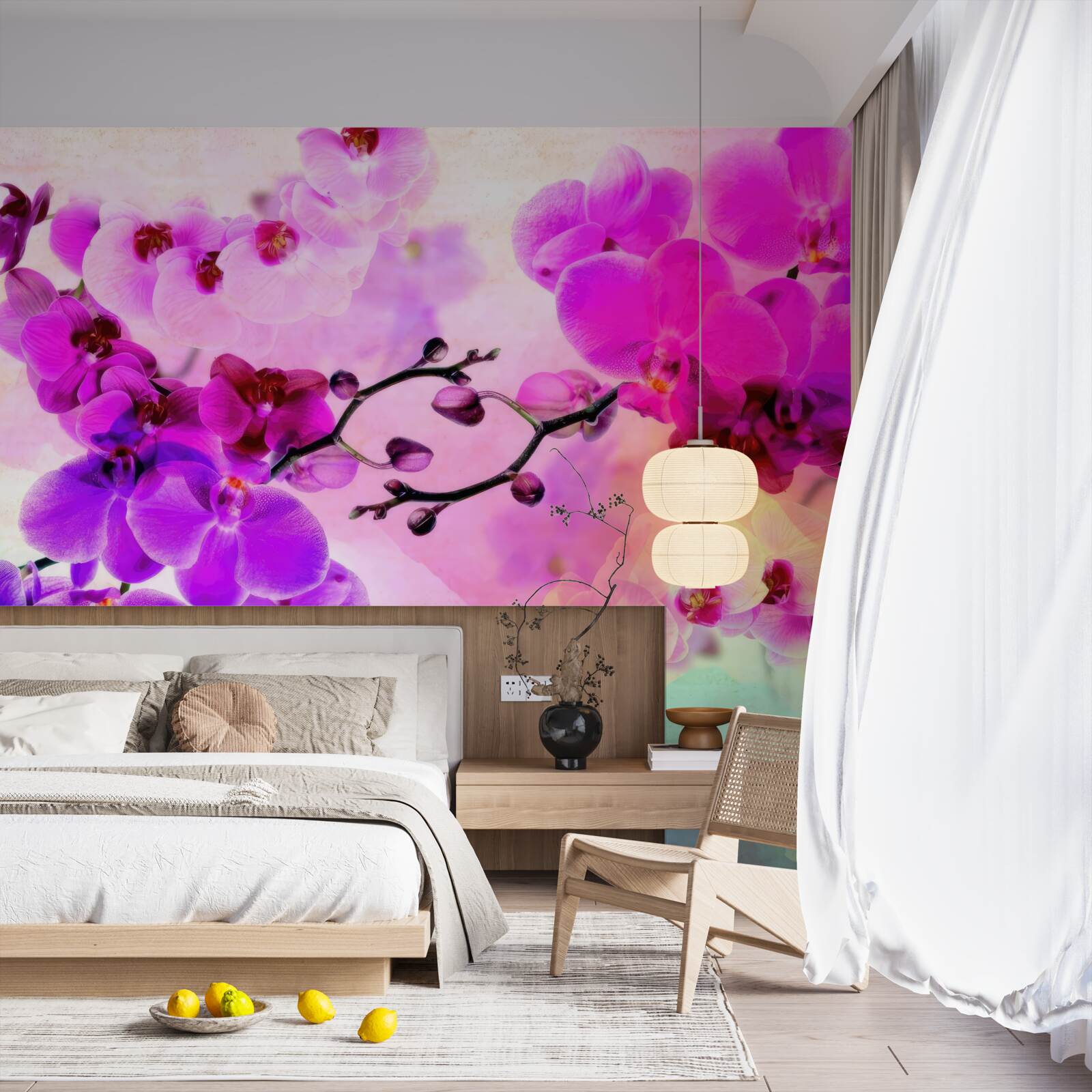 Fototapeta orchidee we wszystkich odcieniach tęczy