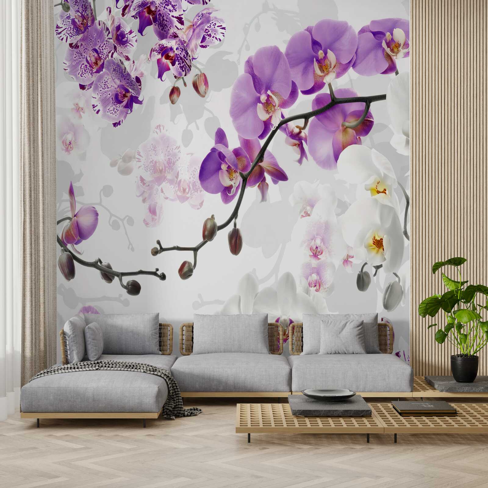 Fototapeta gałąź z kwitnącymi fioletowymi orchideami
