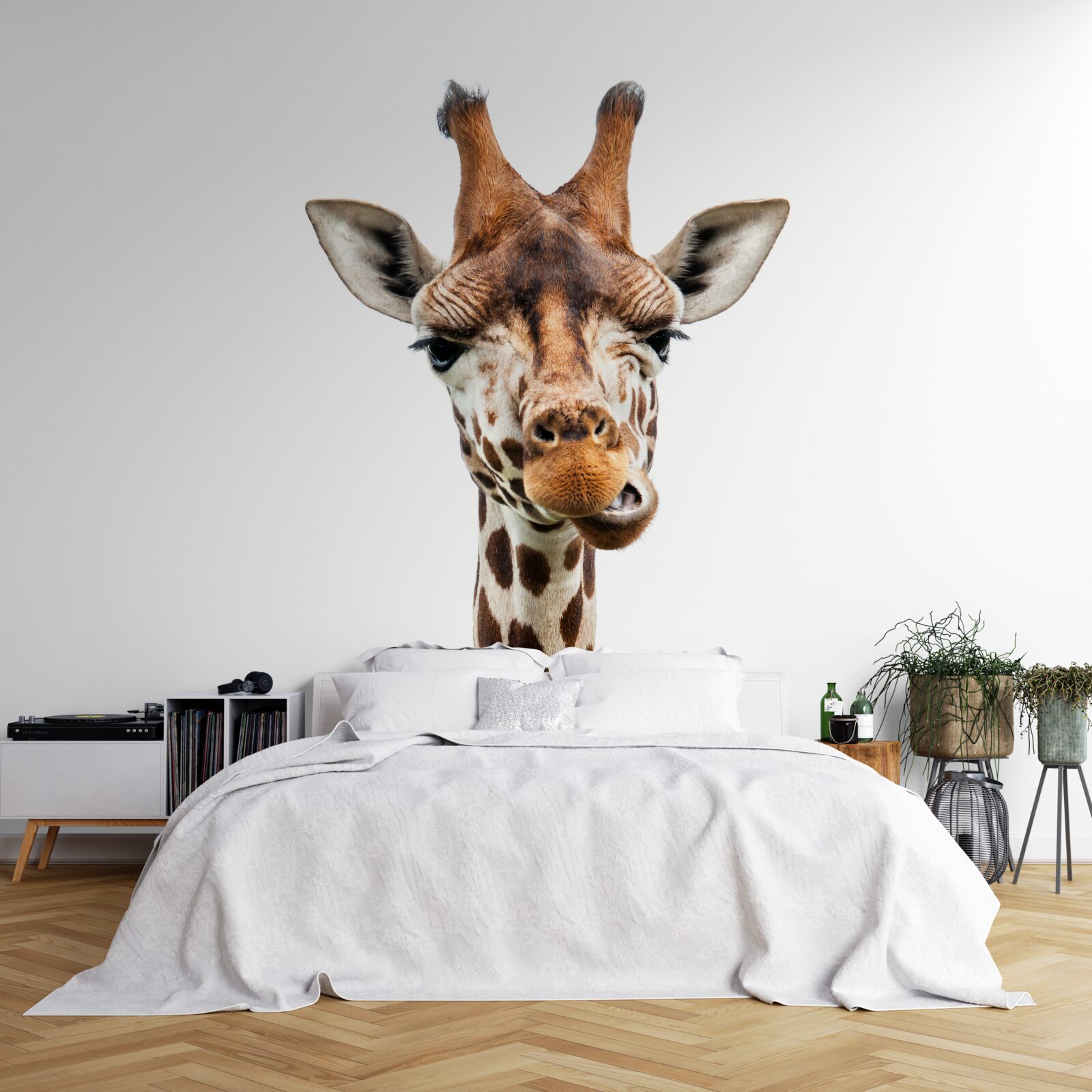 Carta da parati espressione insolita sul volto di una giraffa