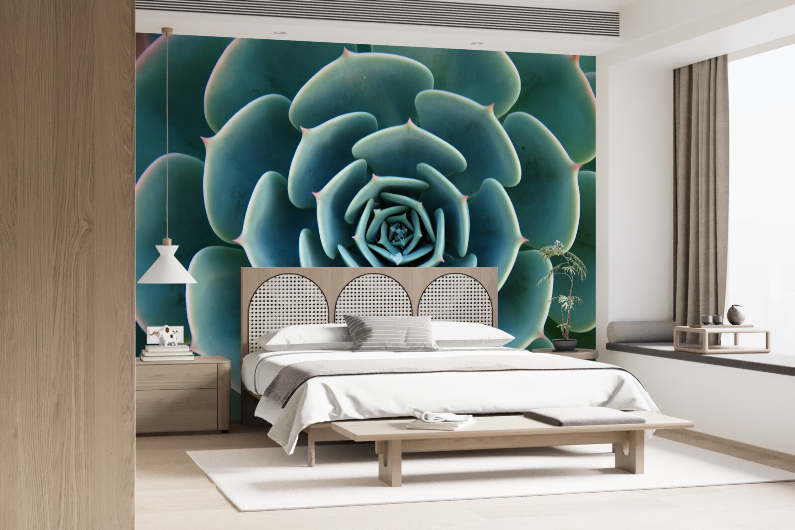 Carta da parati immagine ravvicinata di una succulenta