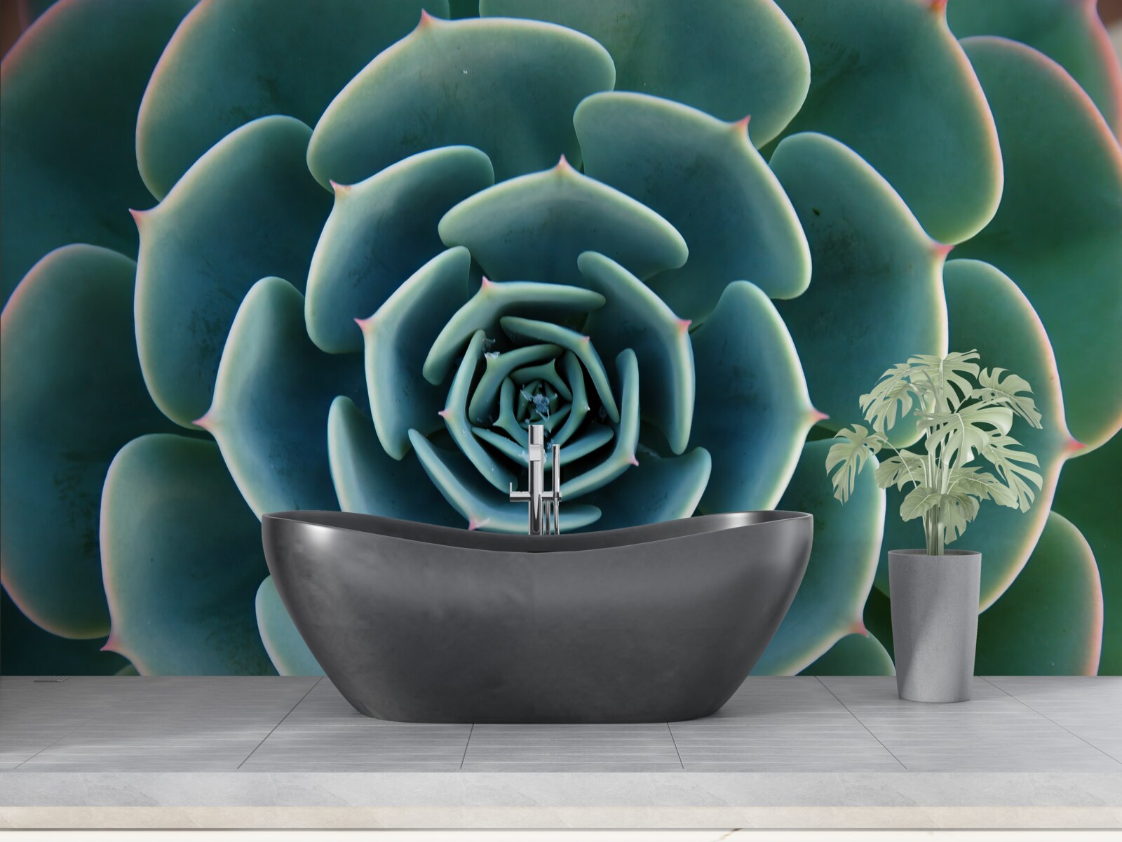 Carta da parati immagine ravvicinata di una succulenta