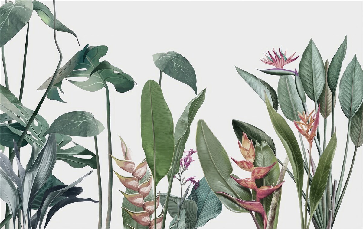 Carta da parati foglie di varie piante tropicali