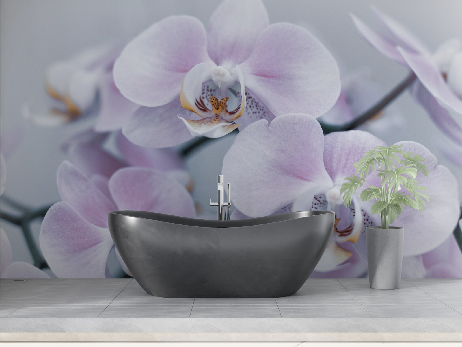 Fototapeta duże kwiaty orchidei