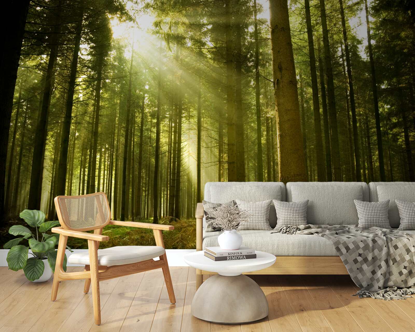 Carta da parati i raggi del sole illuminano la foresta