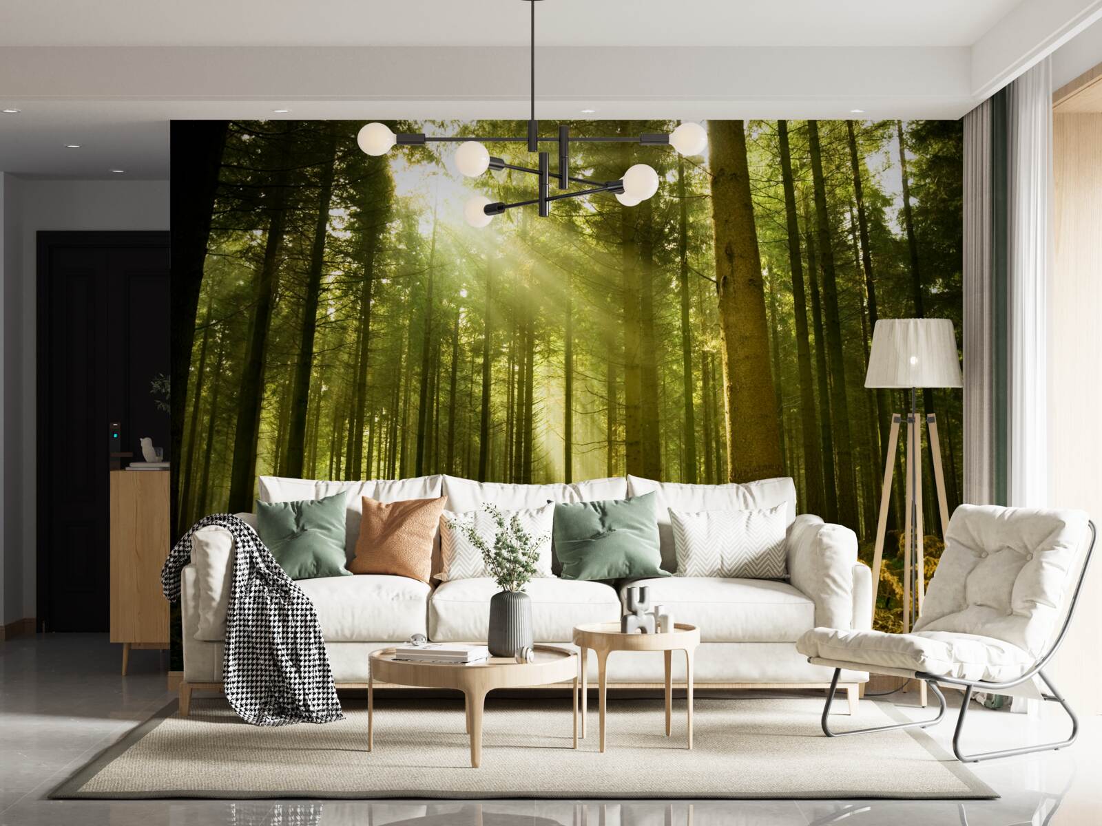 Carta da parati i raggi del sole illuminano la foresta