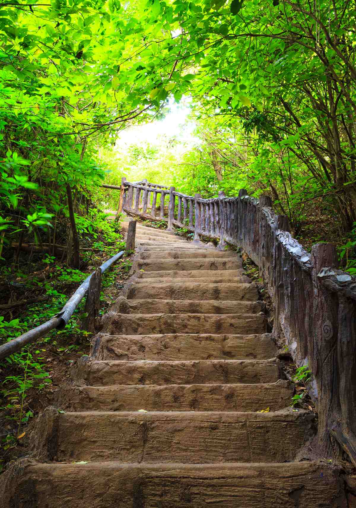 Carta da parati scala verde
