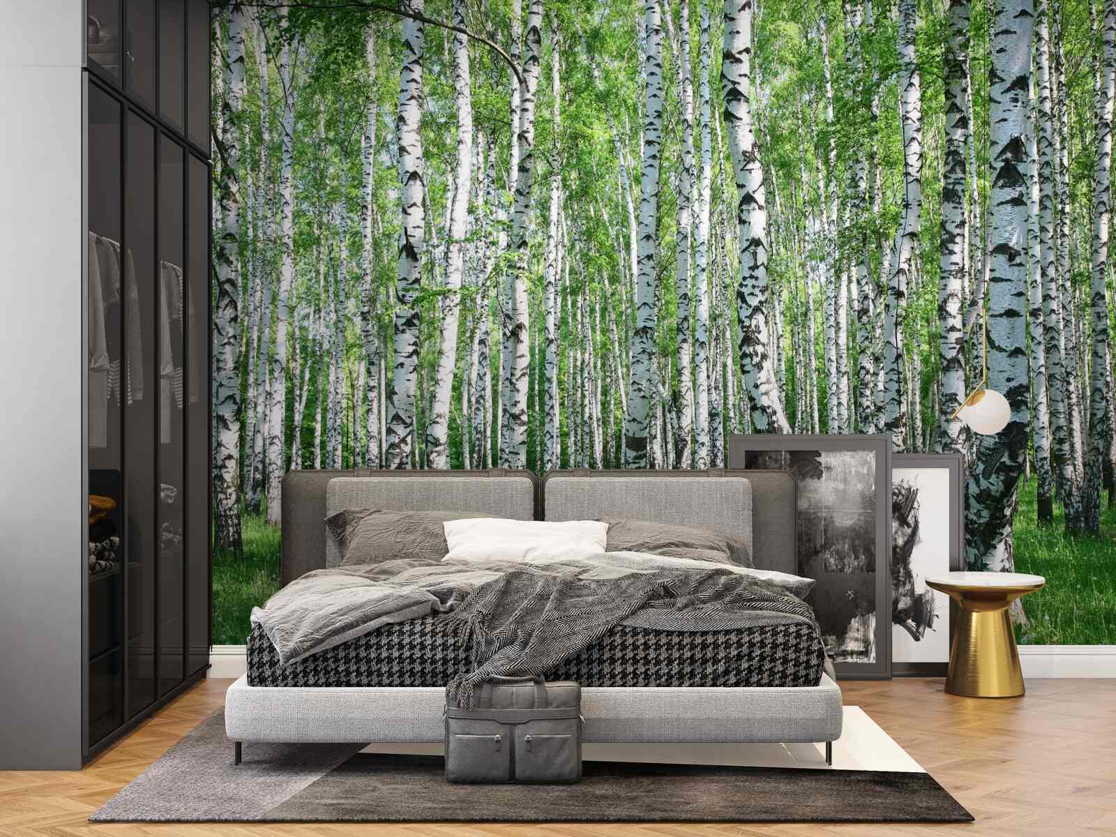 Carta da parati ci sono molte betulle nella foresta