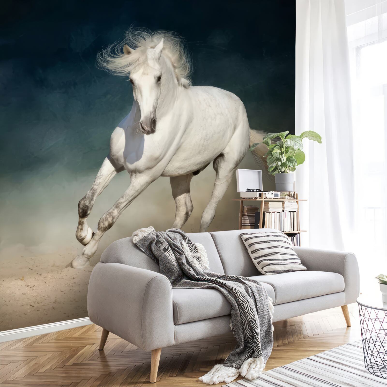 Carta da parati corsa del cavallo bianco