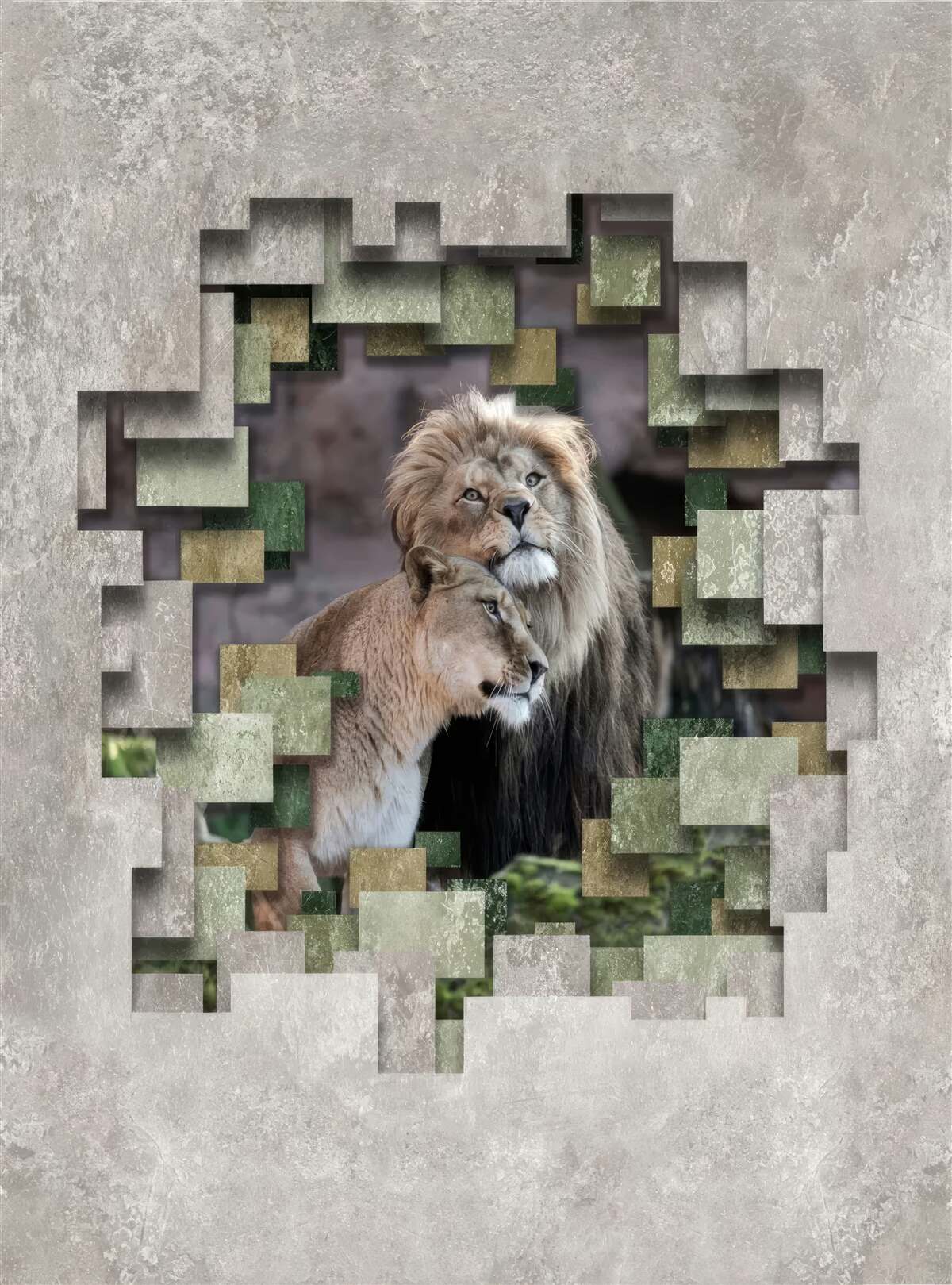 Carta da parati leone e leonessa uniti