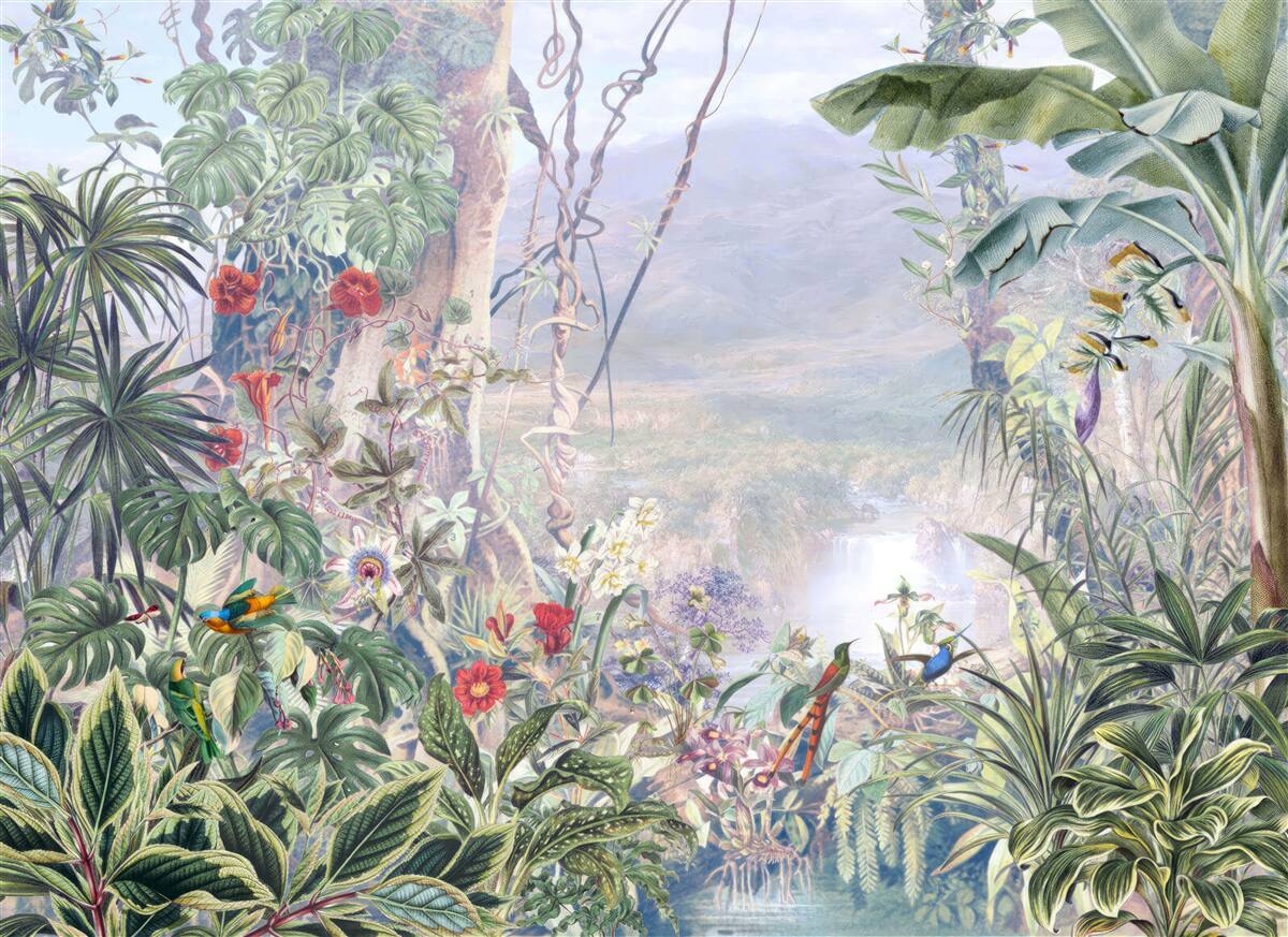 Carta da parati abitanti della giungla piumati