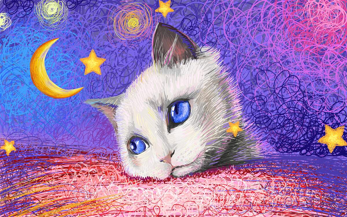 Carta da parati Un simpatico gatto guarda la luna