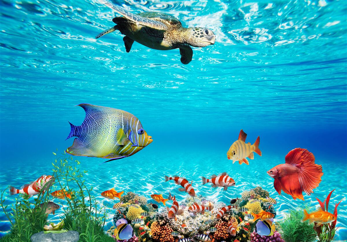 Carta da parati abitanti marini delle profondità oceaniche