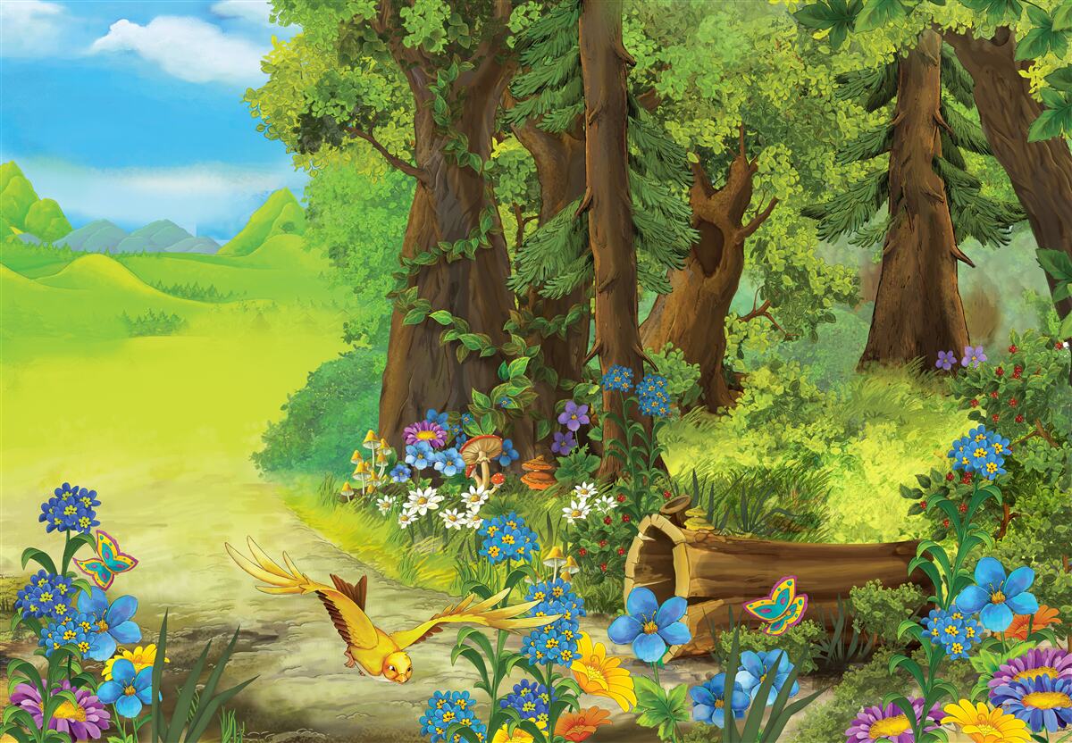 Carta da parati magico bosco verde d'estate
