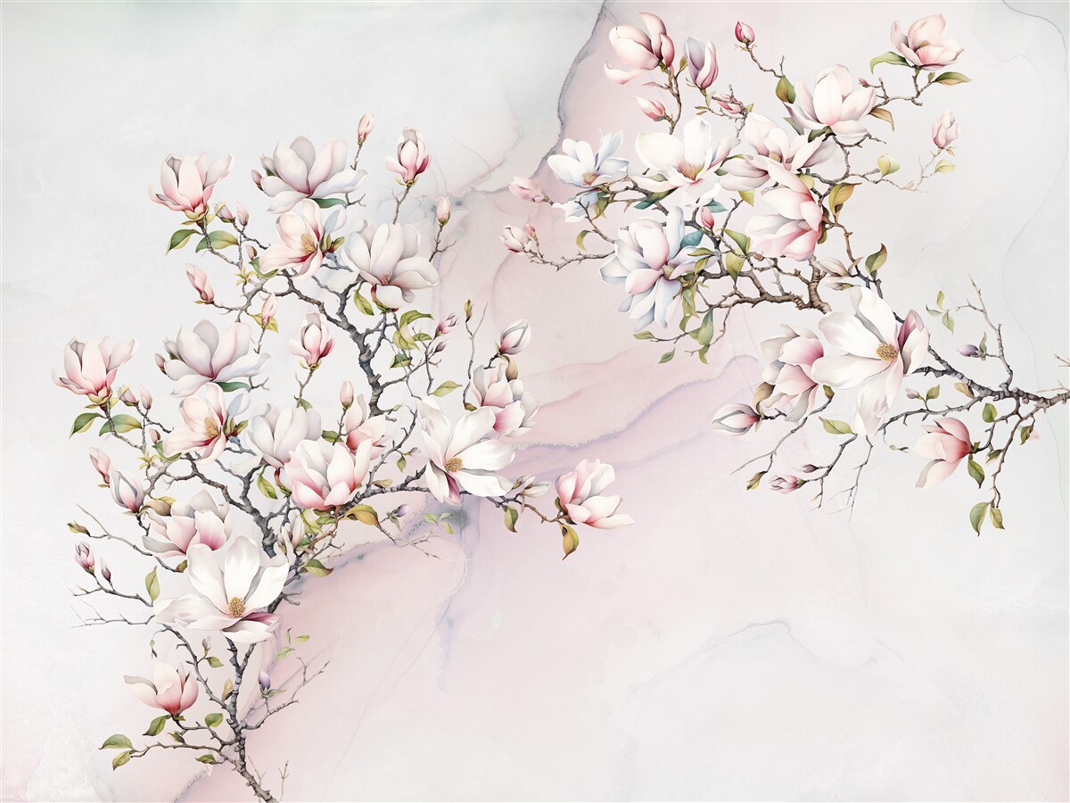 Carta da parati I rami della magnolia bianca e rosa sono aggraziati e bellissimi
