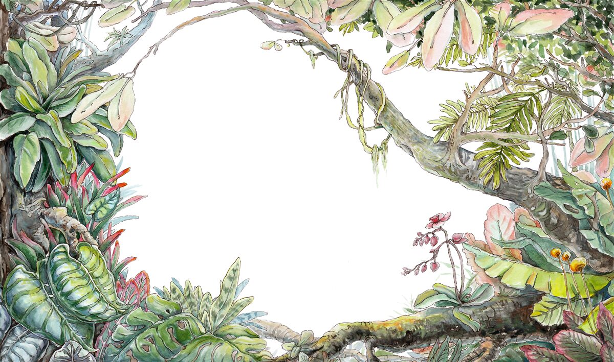 Carta da parati foresta tropicale verde e rigogliosa