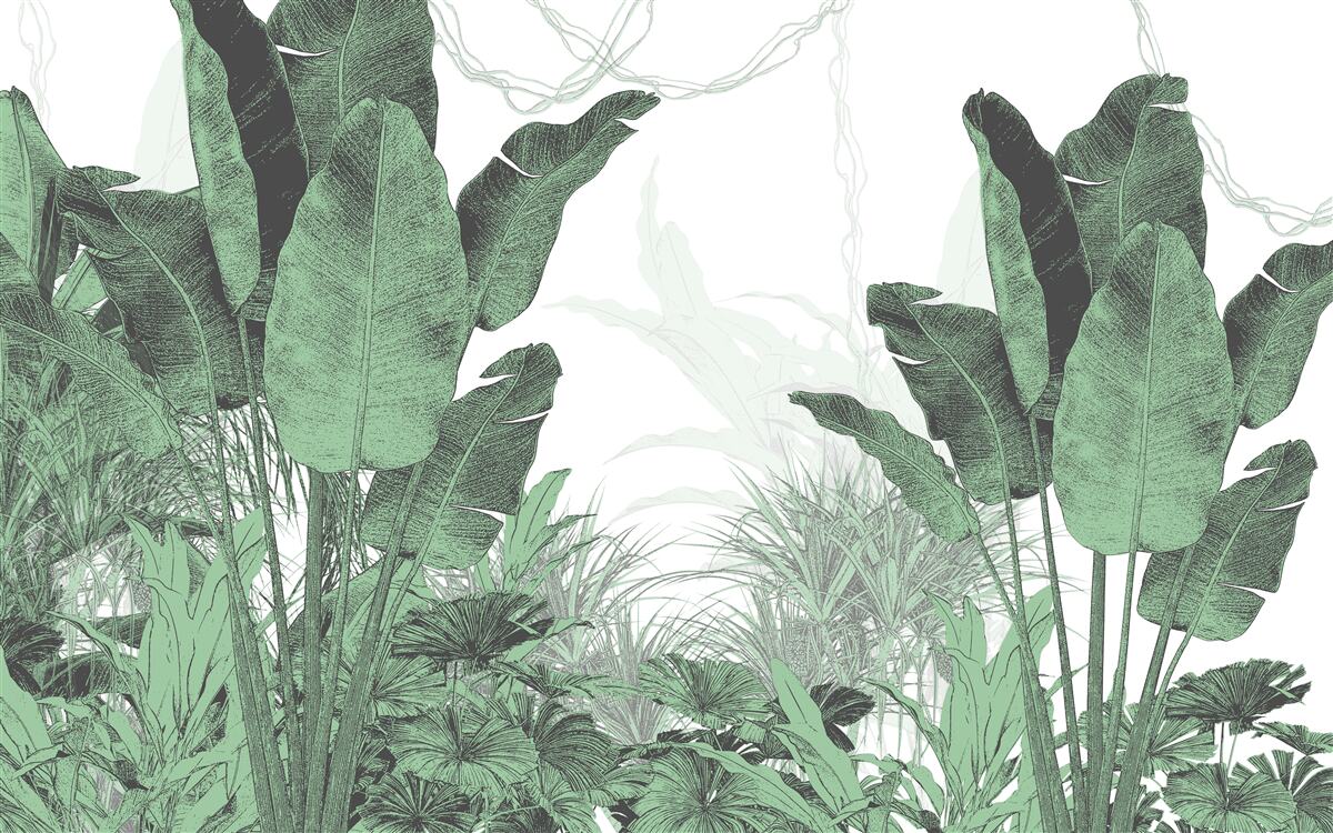 Carta da parati foglie tropicali di notevoli dimensioni
