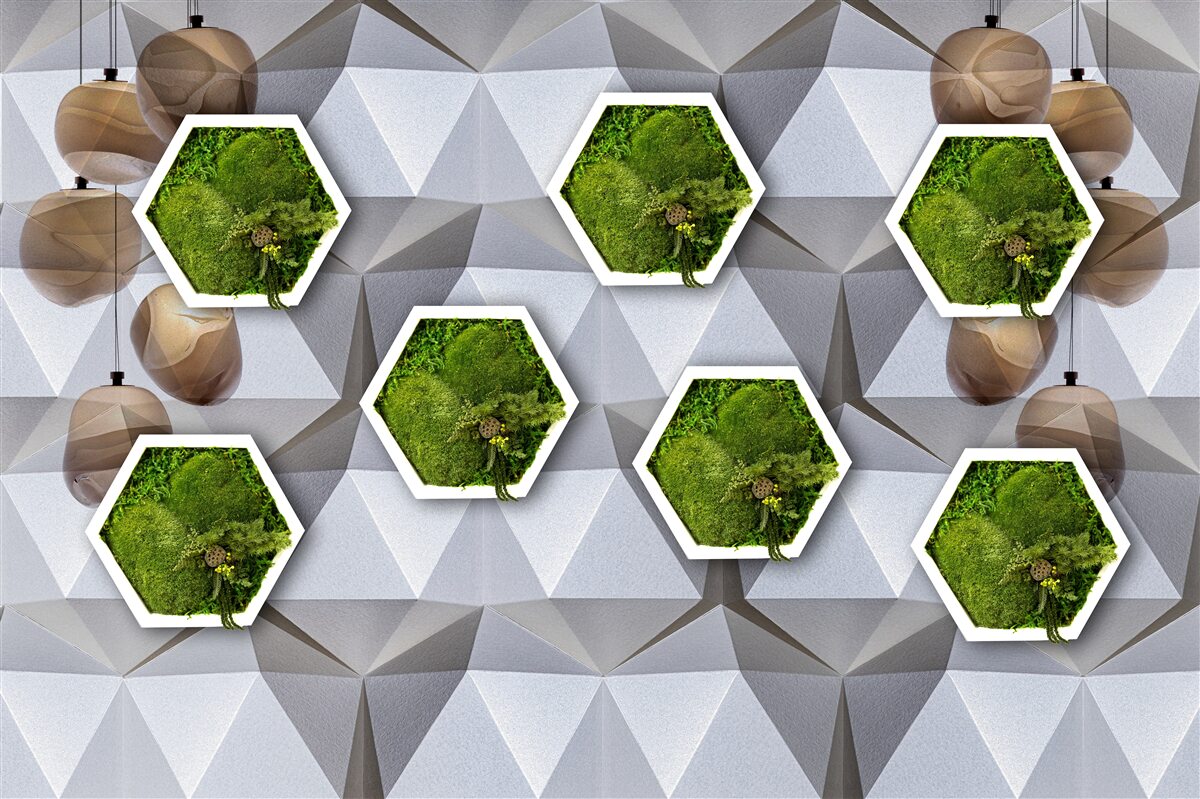 Carta da parati piante a forma di pentagono