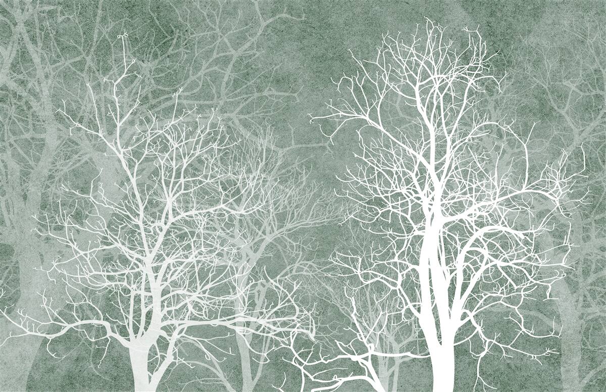 Carta da parati alberi in una decorazione bianca come la neve contro il cielo notturno