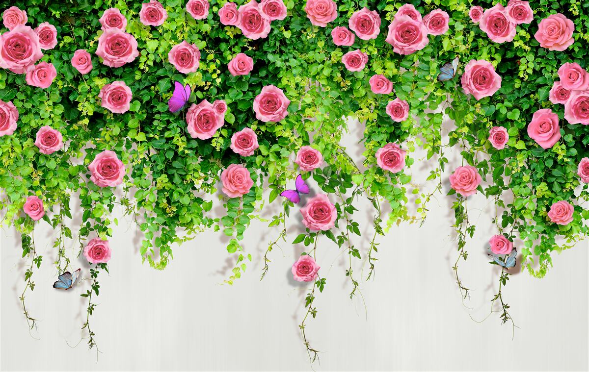 Carta da parati rose ad arbusto di colore rosa intenso