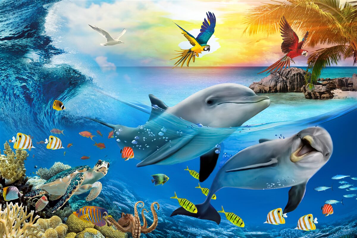 Carta da parati L'alba aspetta i delfini