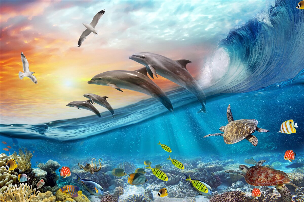 Carta da parati i delfini emergono dalle onde