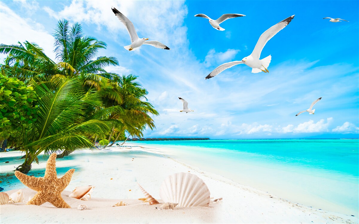 Carta da parati costa calma e tropicale