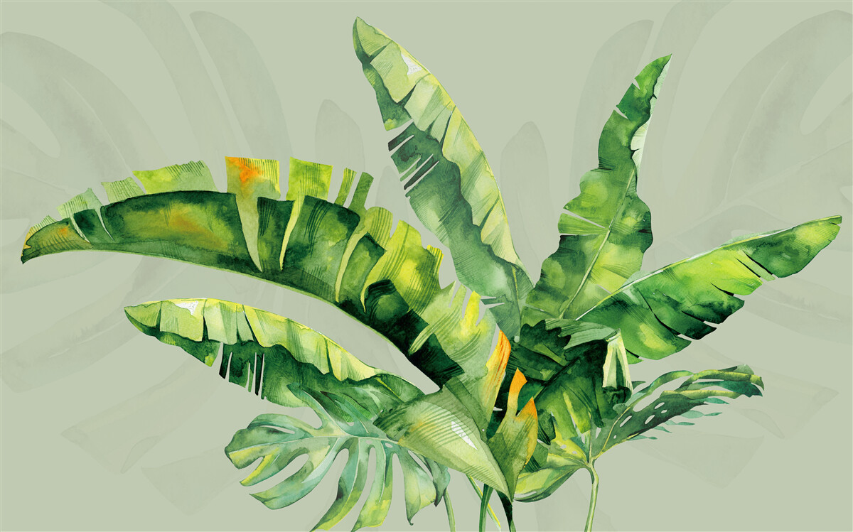 Carta da parati monstera e felce verde