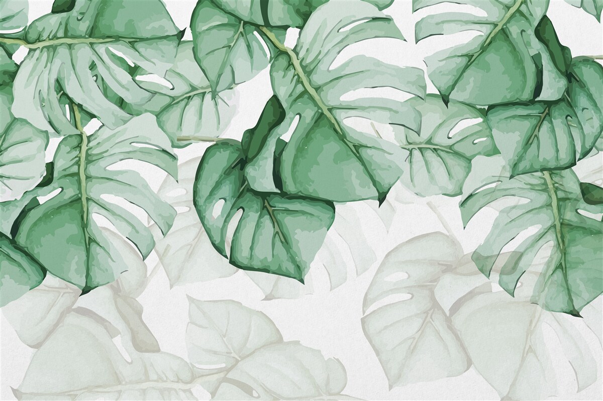 Carta da parati foglie grandi di monstera
