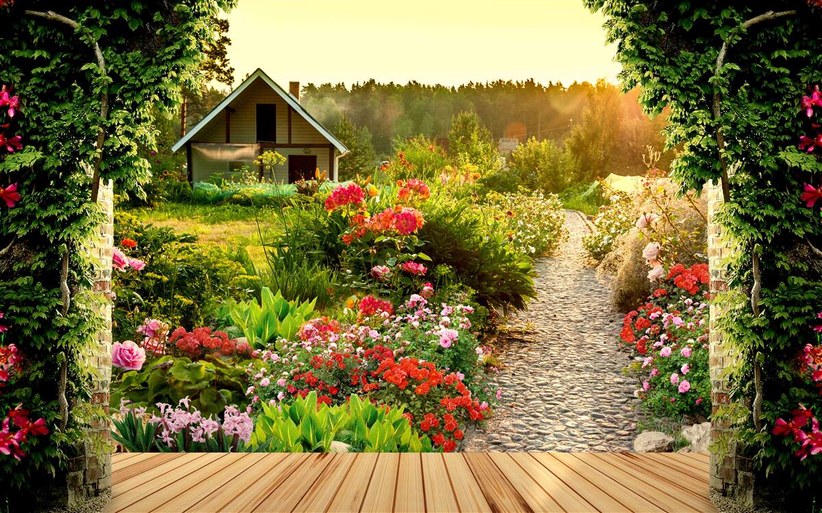 Carta da parati paesaggio naturale con casa
