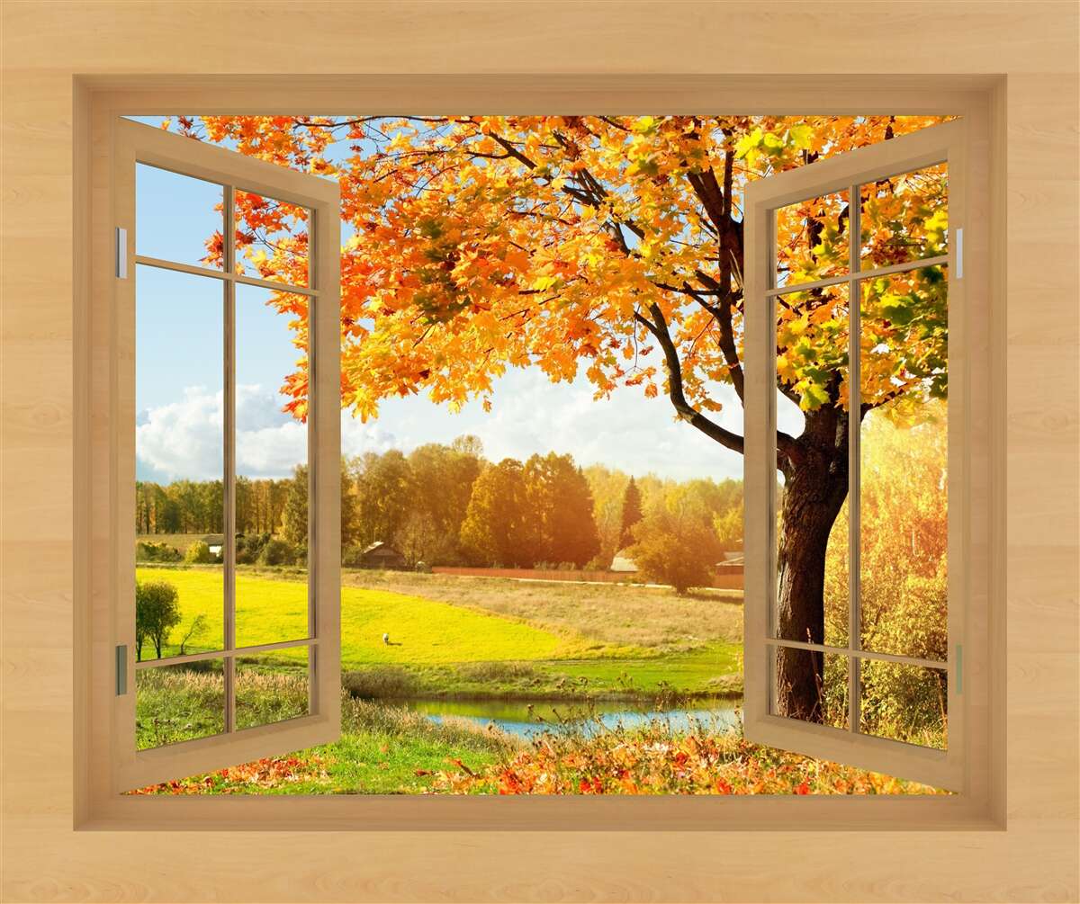 Carta da parati vista autunnale dalla finestra