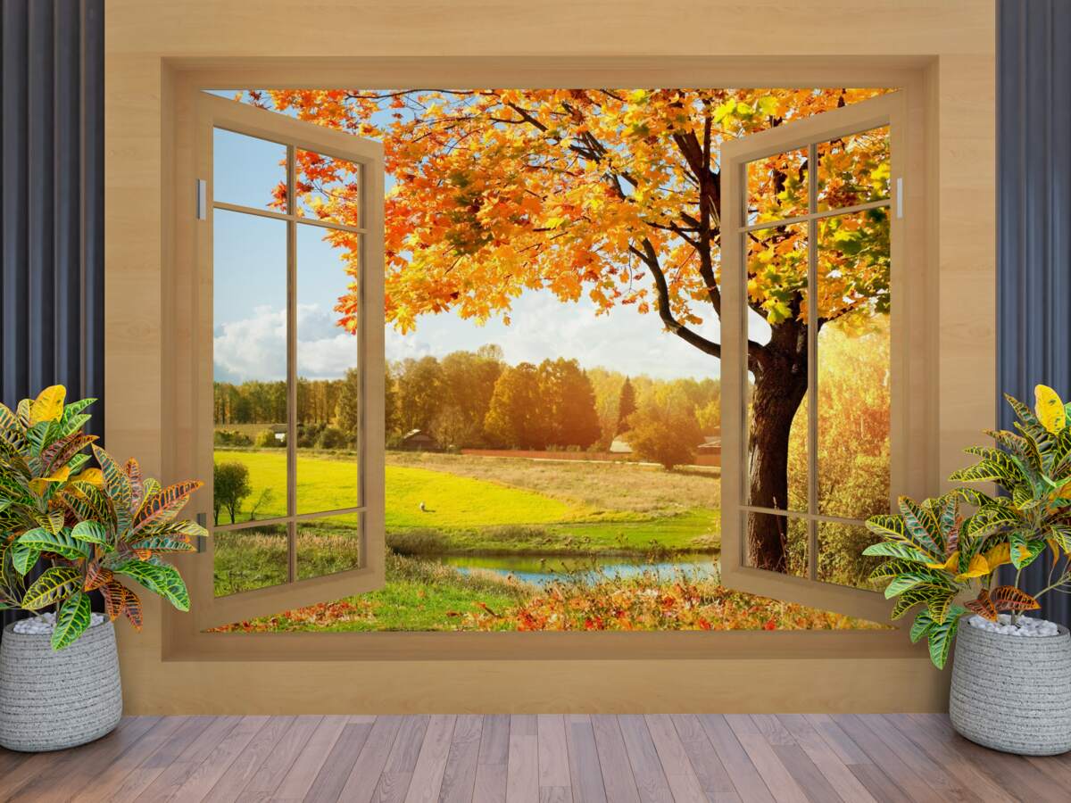 Carta da parati vista autunnale dalla finestra