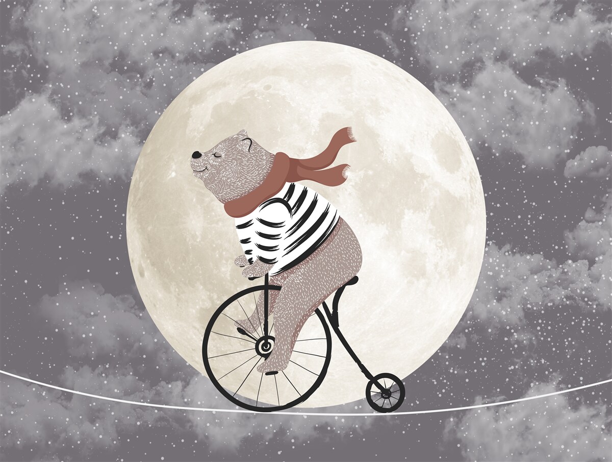 Carta da parati panda del circo in bicicletta