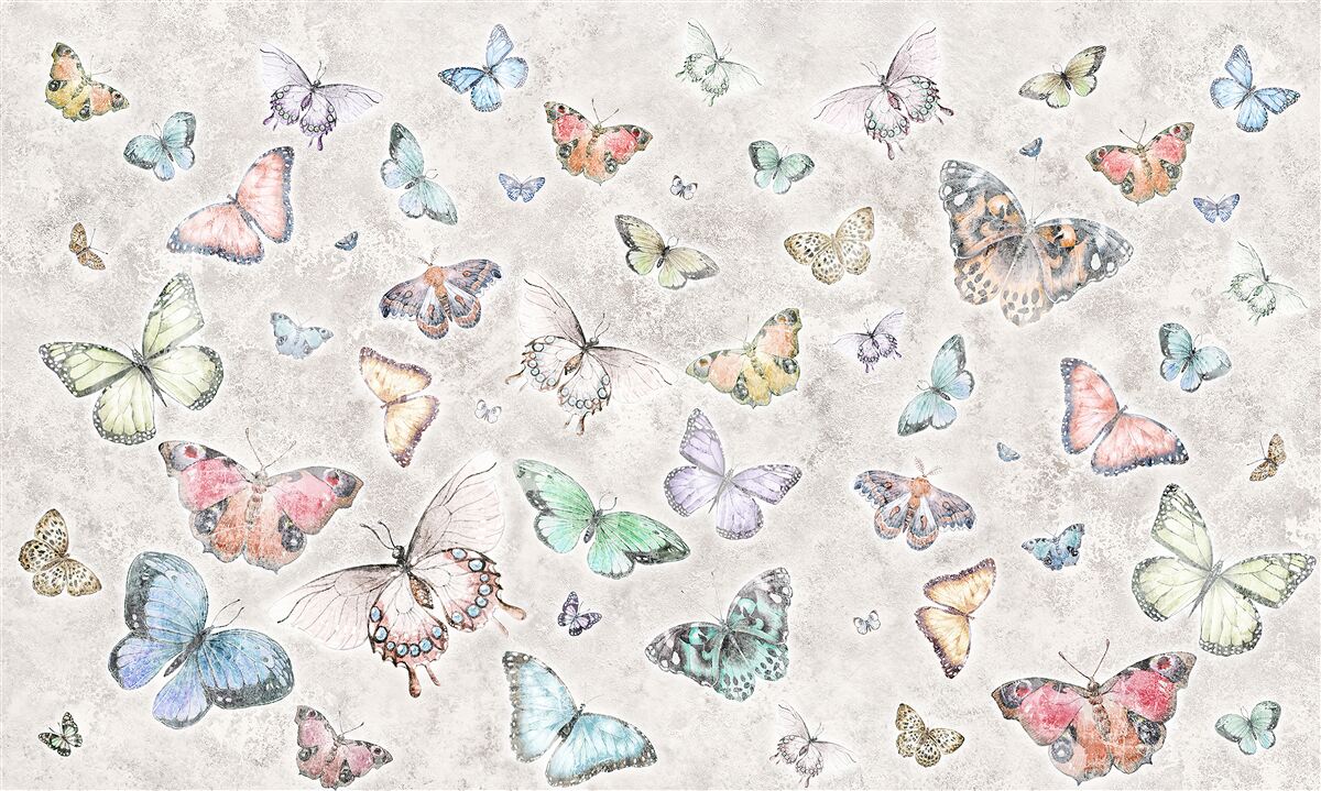 Carta da parati Farfalle luminose su sfondo grigio