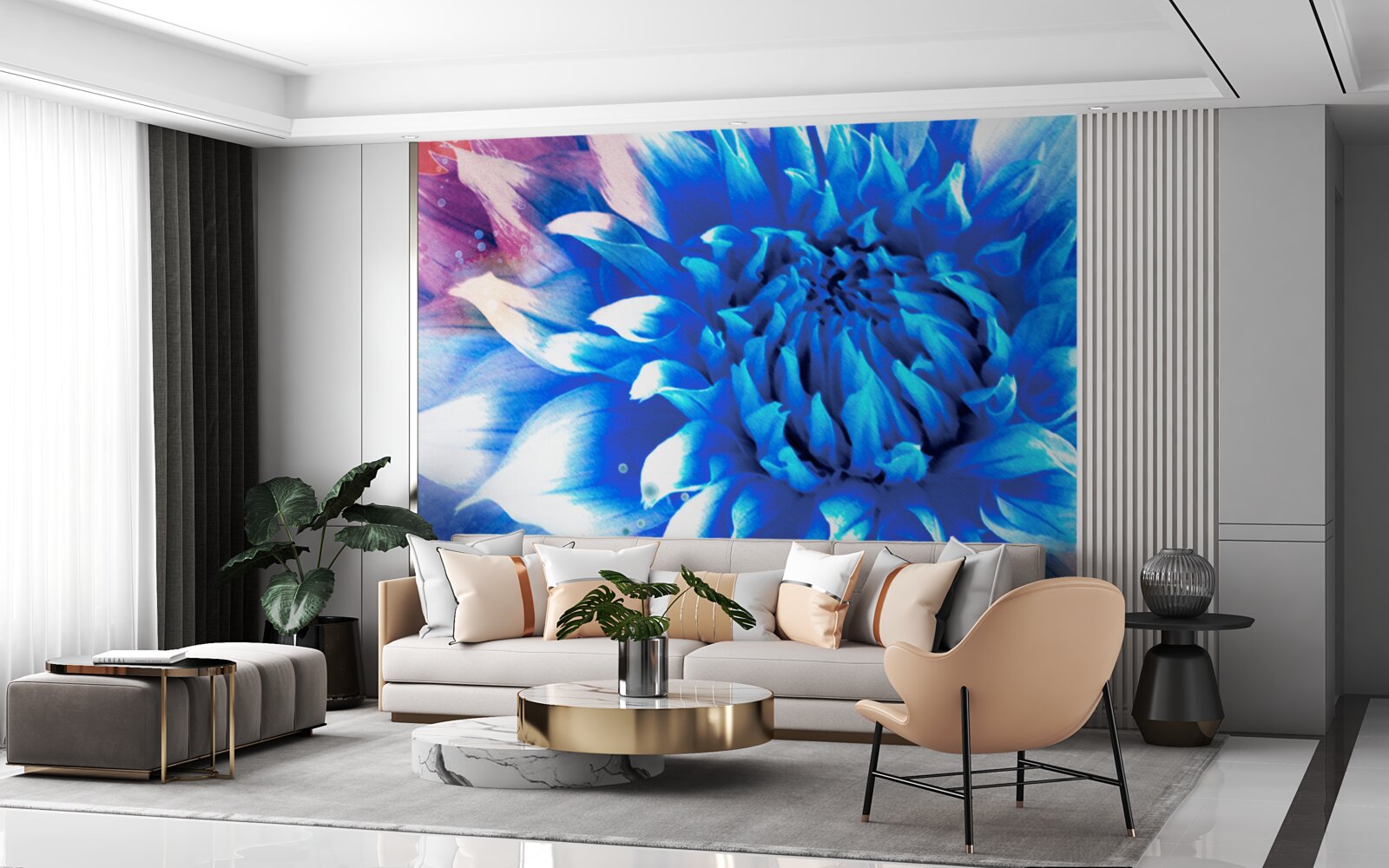 Fototapeta niebieski jak lazurowy aster