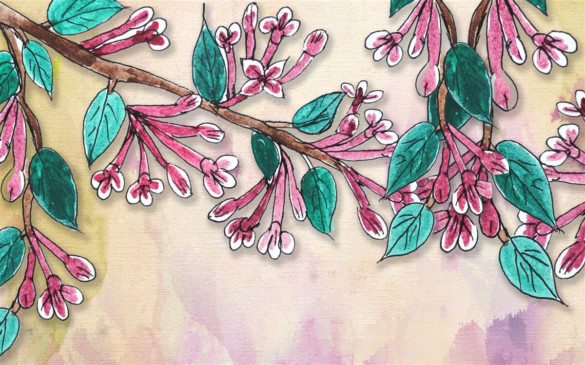 Carta da parati Il ramo di sakura fiorisce e lascia un